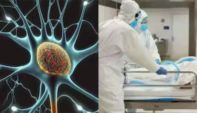 GBS Update : पुणे, मुंबई नंतर आता नागपूरातही एका रुग्णाचा मृत्यू; राज्यात मृतांचा आकडा १० वर पोहचला!