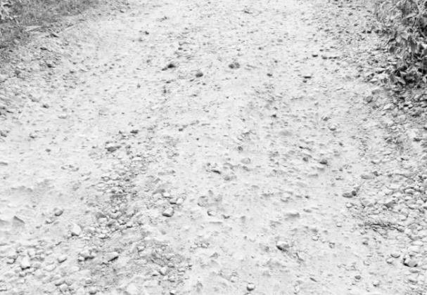 वाड्यातील कोंढले- खैरे रस्त्याची दुरवस्था