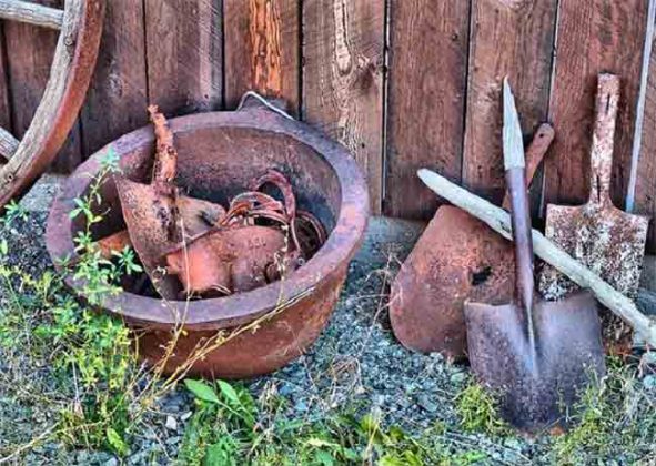 Vastu tips: घरातील आनंद हिरावून घेतात या ३ गोष्टी, कुटुंब होते कंगाल