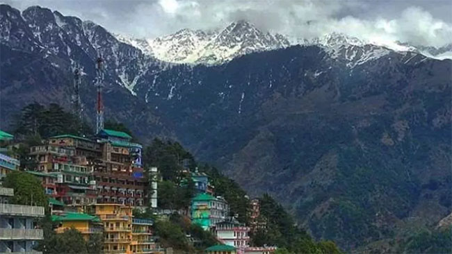 Himachal News : हिमाचल हादरलं !