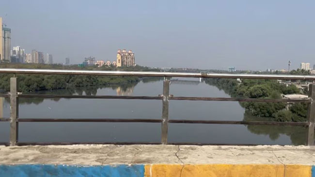 कळवा पुलावर अखेर बसवली सुरक्षा साधने