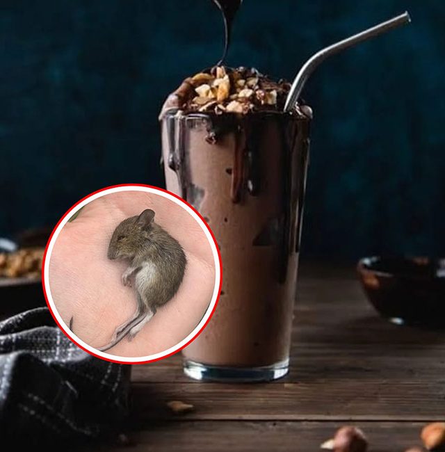 Pune Cafe News : ऑनलाईन ऑर्डर करताय मग सावधान ! पुण्यात चॉकलेट मिल्कशेकमध्ये आढळला उंदीर मामा