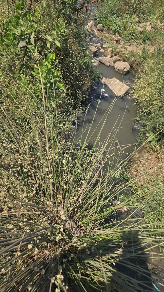 Mumbai-Pune Expressway Hotel : मुंबई - पुणे एक्स्प्रेसवेवरील हॉटेलचे सांडपाणी पातळगंगा नदीत