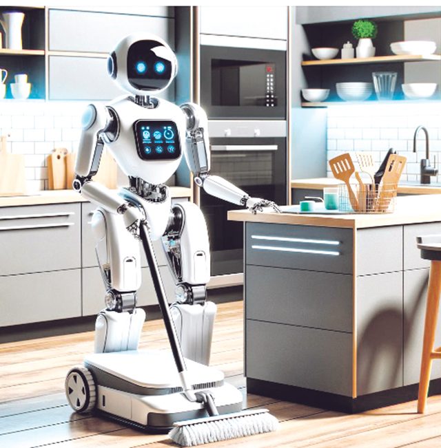 स्वयंपाकघरातील मदतनीस...