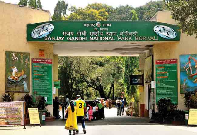 अरे चाललंय काय? आता संजय गांधी राष्ट्रीय उद्यान वाचवण्यासाठी मोहीम!