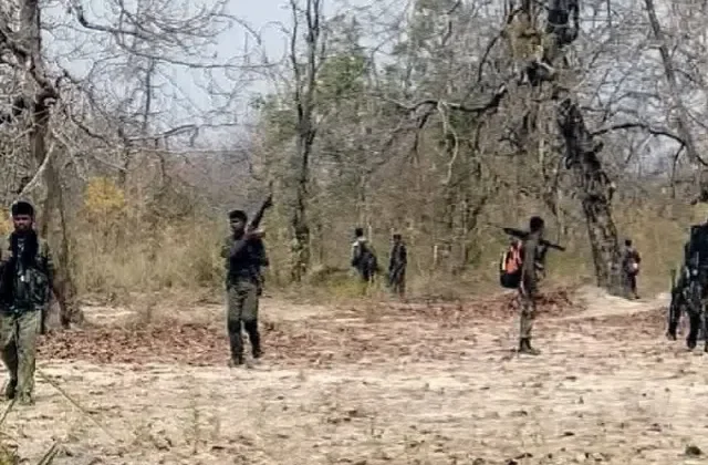 छत्तीसगडमध्ये १७ नक्षलवादी आले शरण, शरण आलेल्यांपैकी ९ जणांवर होते २४ लाखांचे बक्षिस