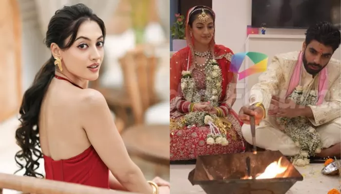 अदिती शर्मा आणि अभिनीत कौशिक यांचा गुप्त विवाह अवघ्या चार महिन्यांत संपुष्टात