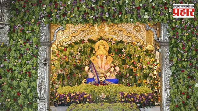 Dagdusheth Ganpati : धूलिवंदनानिमित्त ‘दगडूशेठ’ गणपतीला २ हजार किलो द्राक्षांचा नैवेद्य!