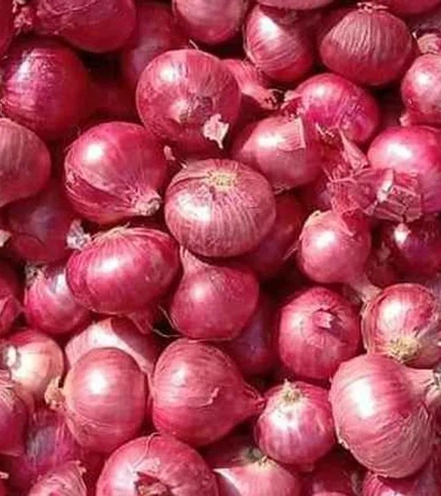 Onion : उन्हाळी कांद्याची आवक वाढली!