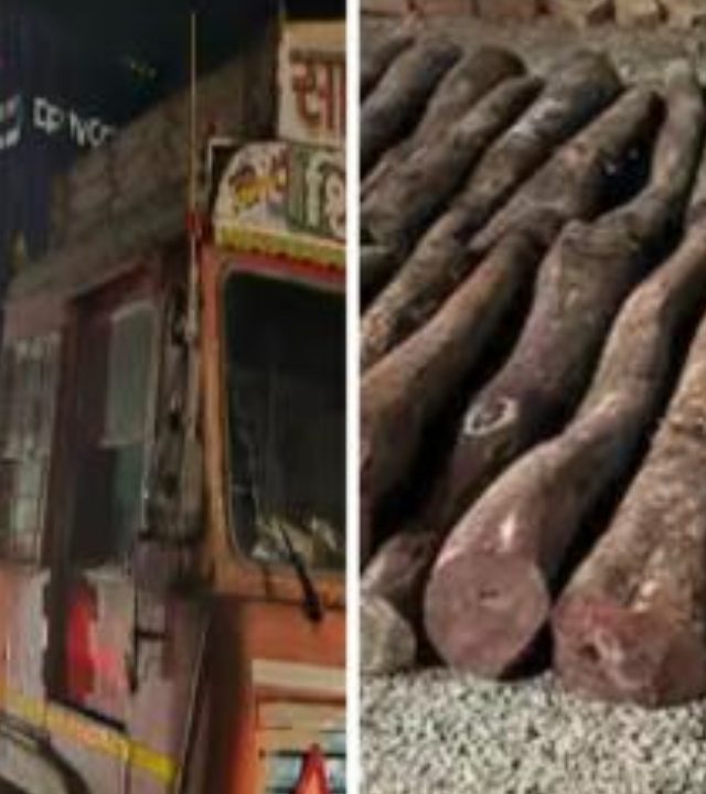 Pune Mumbai ExpressWay : पुणे-मुंबई एक्स्प्रेस वेवर कोट्यवधींचे चंदन जप्त