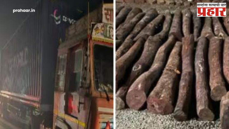 पुणे-मुंबई एक्स्प्रेस वेवर कोट्यवधींचे चंदन जप्त