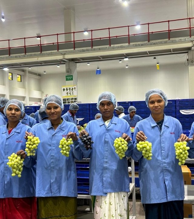 Mahindra : महिंद्राने भारतीय टेबल द्राक्षांच्या निर्यातीला सुरुवात करत गाठला २० वर्षांचा टप्पा