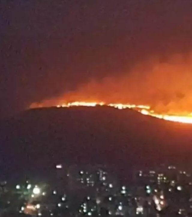 National Park Fire : बोरिवलीतील संजय गांधी राष्ट्रीय उद्यानात भीषण आग; तळीरामांचा प्रताप