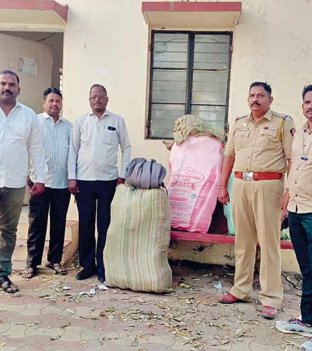 Pandharpur : भयानक! विठुरायाच्या पंढरीत तब्बल १४७ किलो गांजासह ४० लाखांचा मुद्देमाल जप्त