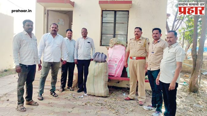 Pandharpur : भयानक! विठुरायाच्या पंढरीत तब्बल १४७ किलो गांजासह ४० लाखांचा मुद्देमाल जप्त