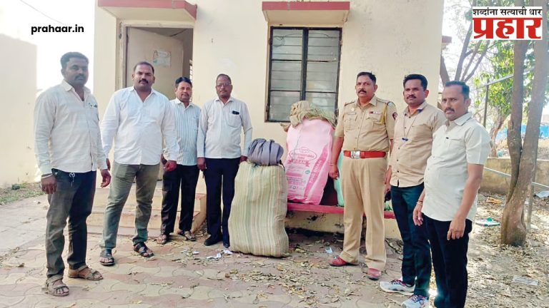 Pandharpur : भयानक! विठुरायाच्या पंढरीत तब्बल १४७ किलो गांजासह ४० लाखांचा मुद्देमाल जप्त