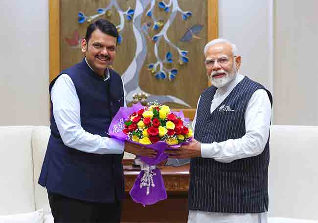 मुख्यमंत्री फडणवीस यांनी घेतली पंतप्रधान मोदींची भेट