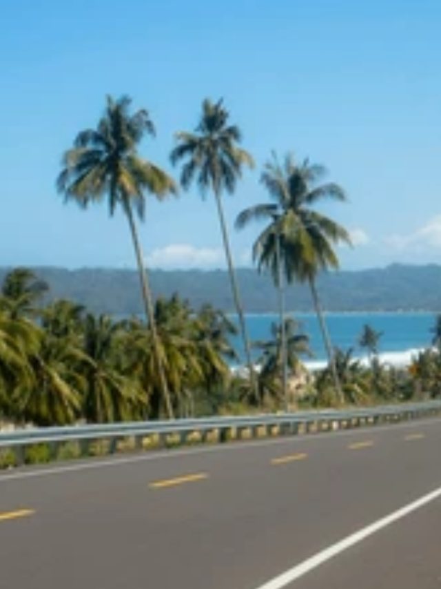 Marine Highway : सागरी महामार्गावरील नारळी वृक्ष संकटात
