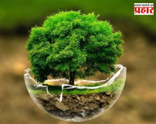 राज्यात ३०० कोटी झाडे लावणार