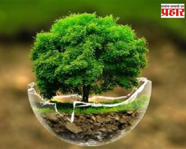 राज्यात ३०० कोटी झाडे लावणार