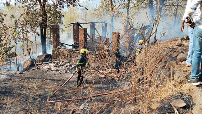 वणव्यात वाडा जळून खाक; तीन गुरे होरपळून ठार