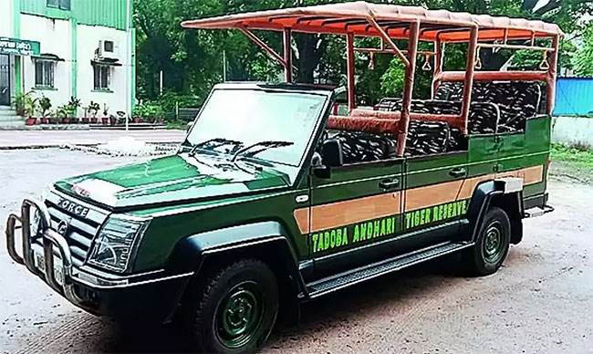ताडोबा सफारीसाठी धावणार ‘क्रुझर जिप्सी’
