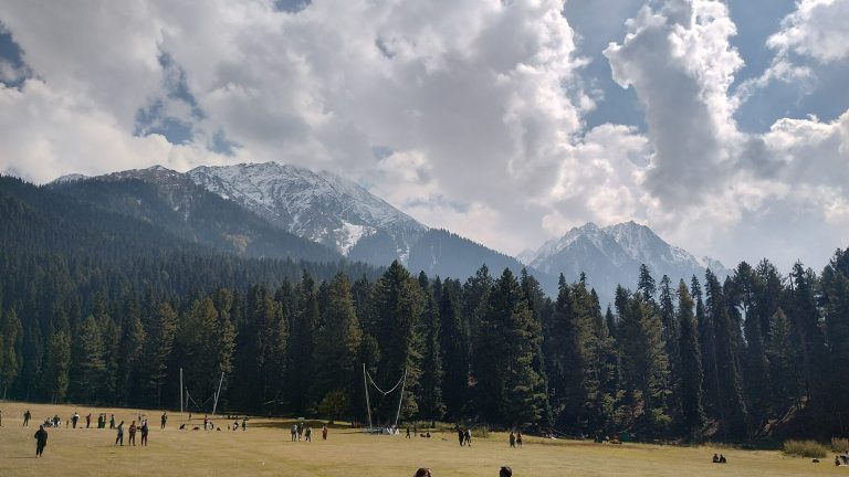 पहलगाममध्ये अतिरेक्यांना स्थानिकांनी केली मदत