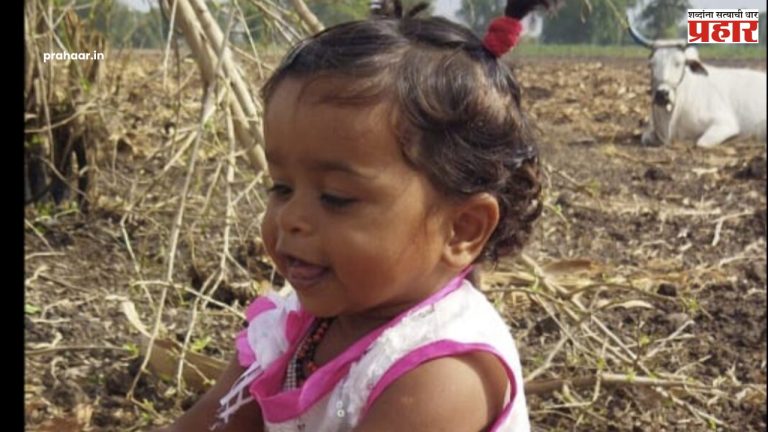बिबट्याच्या हल्ल्यात २ वर्षीय चिमुकली ठार..!