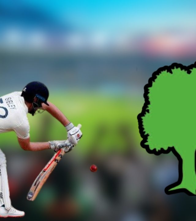 Dot Ball : IPL चे डॉट बॉल आणि झाडांचं काय आहे कनेक्शन ?