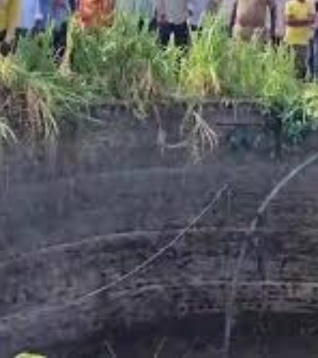 Hingoli Accident : शेतकरी महिला मजुरांना घेऊन जाणारा ट्रॅक्टर विहिरीत कोसळला, ८ जणांचा मृत्यू