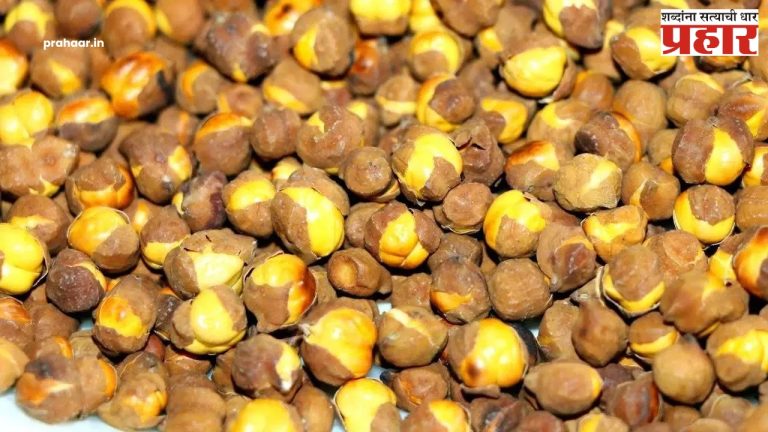 Rosted Chana: हरभरे खाल्ल्याने शरीर होते निरोगी!