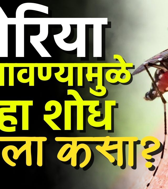 World Malaria Day 2025 : जागतिक मलेरिया दिन! पण मलेरियाचा शोध कुणी लावला?