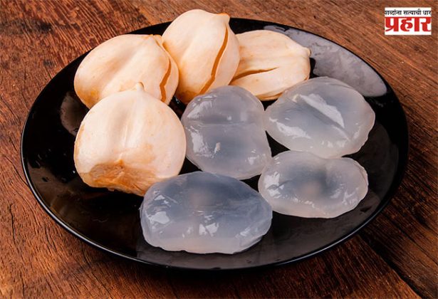 Tadgola : उन्हाळा सुरु होताच ताडगोळ्यांच्या मागणीत वाढ!