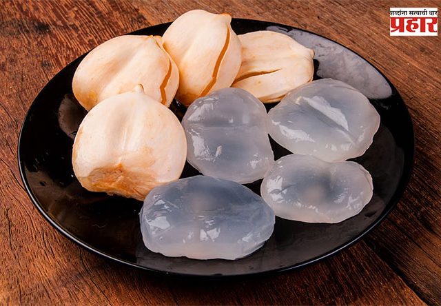 Tadgola : उन्हाळा सुरु होताच ताडगोळ्यांच्या मागणीत वाढ!