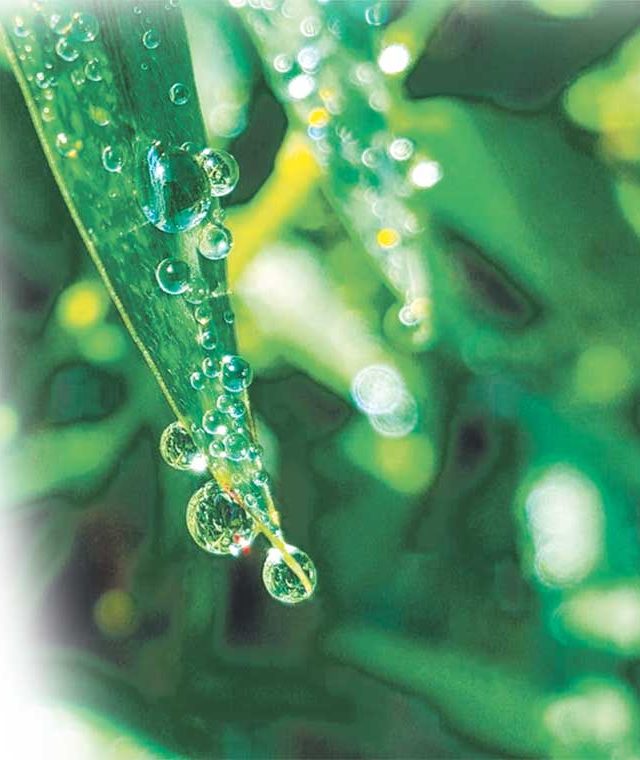 दवबिंदू कसे पडतात?