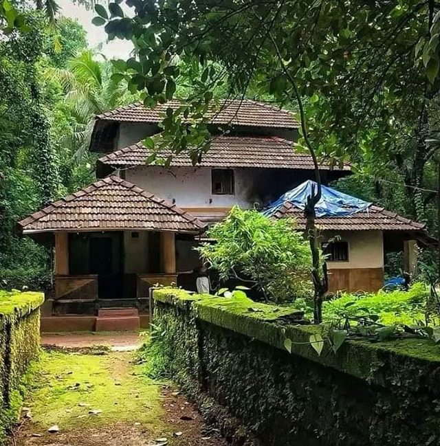 चला गावाला जाऊया...
