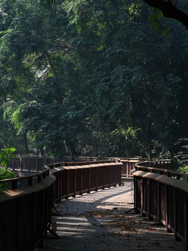 BMC NEWS : निसर्ग उद्यानाच्या दोन वर्षांच्या देखभालीसाठी दीड कोटींचा खर्च