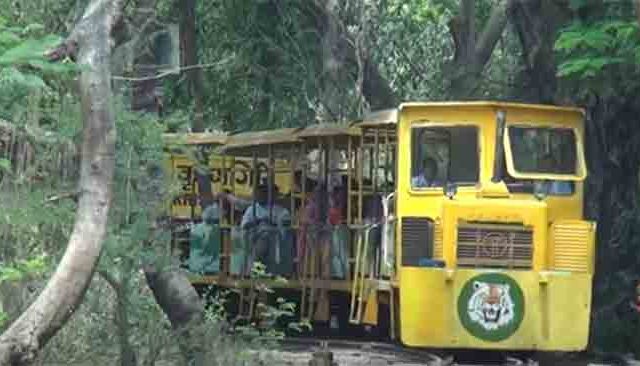 नॅशनल पार्कमधील मिनी ट्रेन सुरू होणार