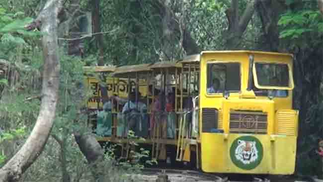 नॅशनल पार्कमधील मिनी ट्रेन सुरू होणार