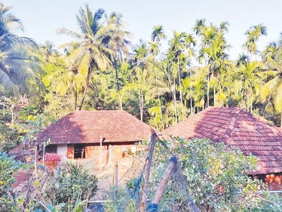 बंद घरे मोकळा श्वास घेऊ लागली
