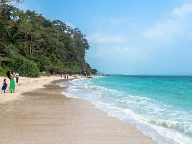 राज्यातील ७ समुद्रकिनाऱ्यांना मिळणार आंतरराष्ट्रीय ‘ब्लू फ्लॅग’ मानांकन