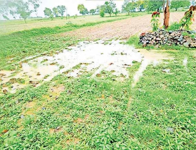 मान्सूनपूर्व पावसामुळे शेतीची कामे खोळंबली..