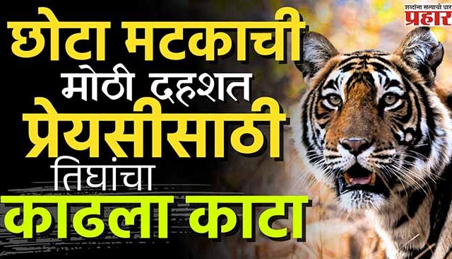 प्रेयसीसाठी तिघांचा काढला काटा; छोटा मटकाची अजब प्रेमकहाणी!