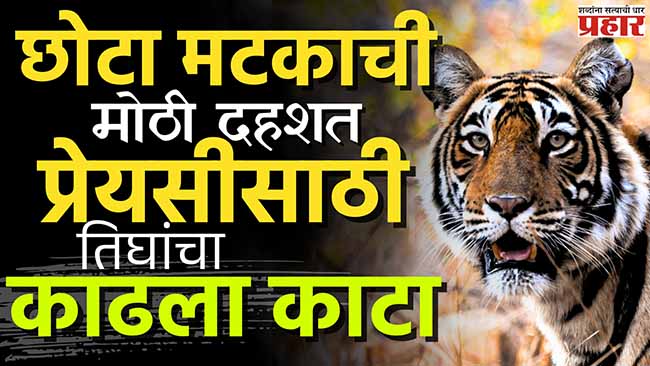 प्रेयसीसाठी तिघांचा काढला काटा; छोटा मटकाची अजब प्रेमकहाणी!