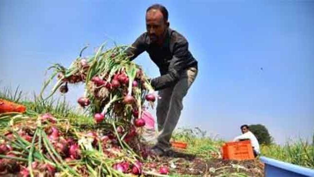नाशिक जिल्ह्यातील ५६ हजार शेतकरी जाणार संपावर : बोराडे