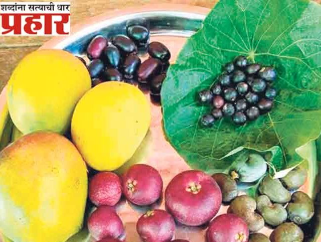 कोकणचा रानमेवा हरवतोय...!