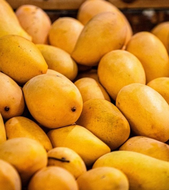 Mango: आंबा खाल्ल्याने रक्तातील साखर वाढते का ?