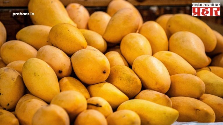 आंबा खाल्ल्याने रक्तातील साखर वाढते का ?