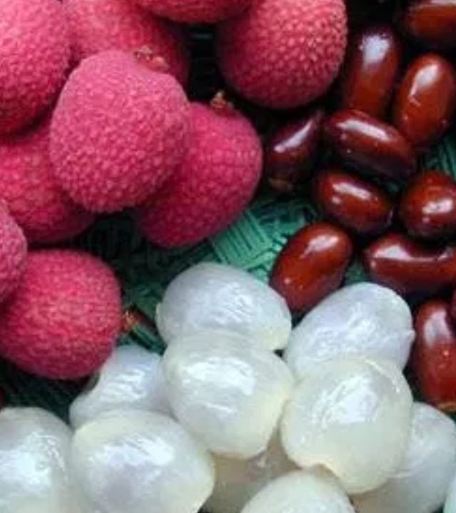 Lychee : लिची खाण्याची योग्य वेळ कोणती? काय आहेत लिची खाण्याचे फायदे