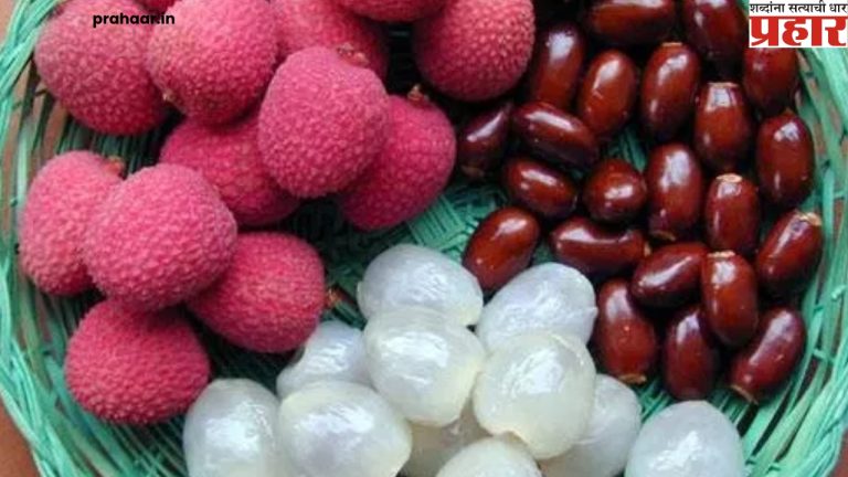 Lychee : लिची खाण्याची योग्य वेळ कोणती? काय आहेत लिची खाण्याचे फायदे